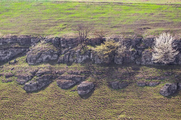 Parete rocciosa del canyon del fiume Smotrych in Kamianets Podilskyi, Ukraine