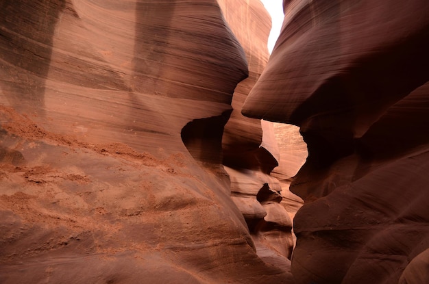 Pareti ammorbidite del canyon di arenaria rossa dell'Antelope Canyon