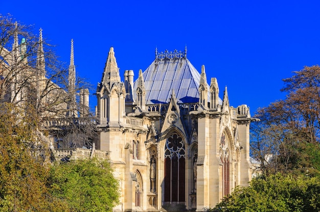 PARIGI FRANCIA 15 APRILE 2019 Cattedrale di Notre Dame de Paris Francia Architettura gotica