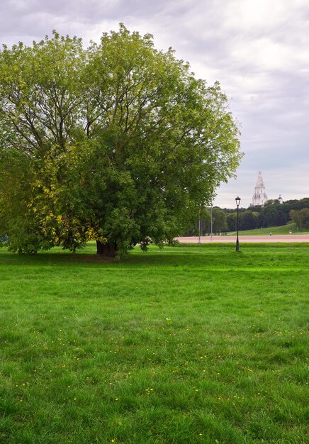 park kolomenskoe il sentiero si perde in lontananza