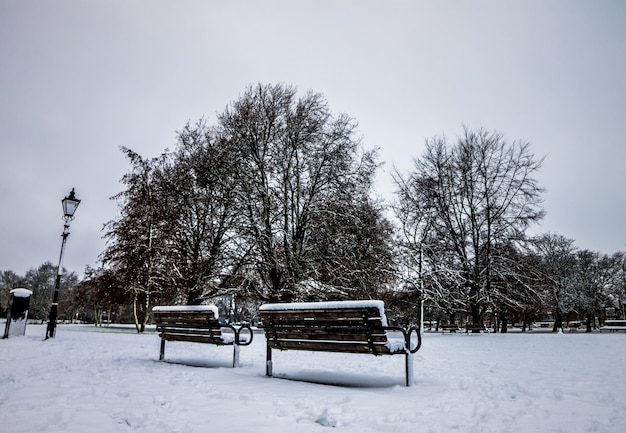 Park of England dopo una forte nevicata