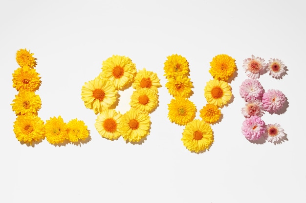 Parola amore steso di boccioli di fiori su sfondo grigio vista dall'alto