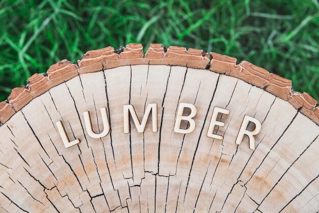 parola Legname fatto di lettere di legno sul ceppo nella foresta