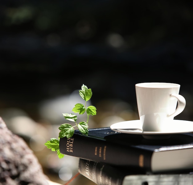 Parole di vita Sacra Bibbia, foglie verdi, tazze da tè e viti