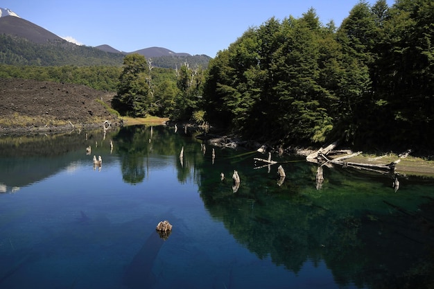 Parque Nacional Conguillo Cile