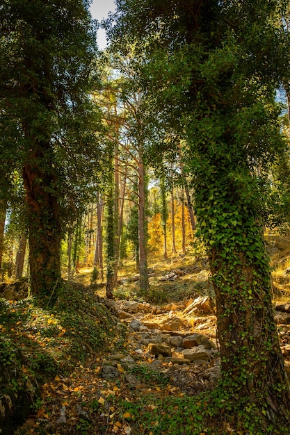 Parque natural de penagolosa en la provincia de CastellonEspana