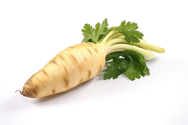 Parsnips foto illustrazione realistica generativa ai