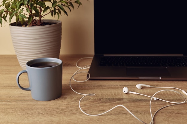 Parte del laptop con schermo vuoto, pianta in vaso, tazza e cuffie con cavo bianco.