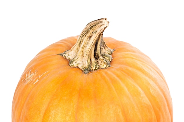 Parte di una zucca su sfondo bianco in una vista ravvicinata