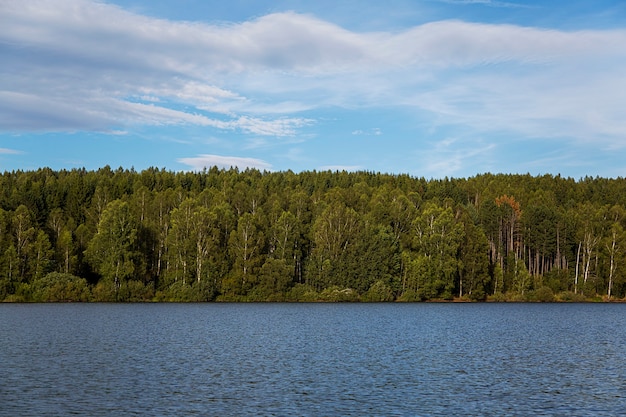 Particolare del Lago Vlasina in Serbia