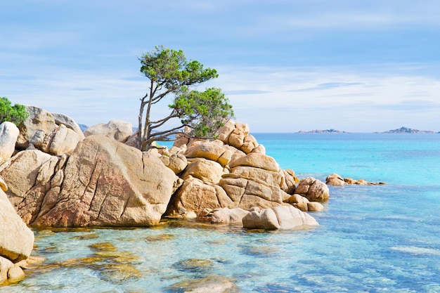 Particolare della spiaggia di Capriccioli in Costa Smeralda Sardegna