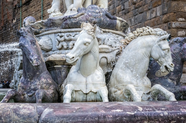 Particolare della statua della Fontana del Nettuno a Firenze