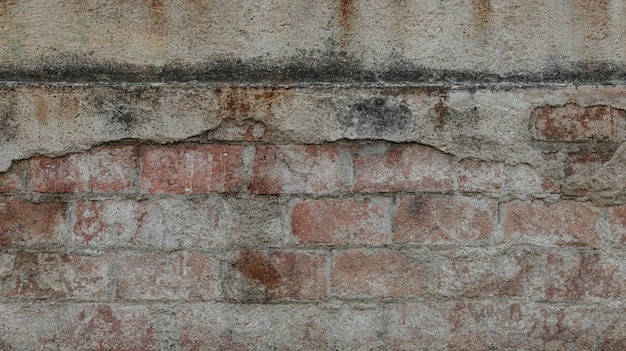 Particolare della superficie di un muro sporco con funghi e umidità