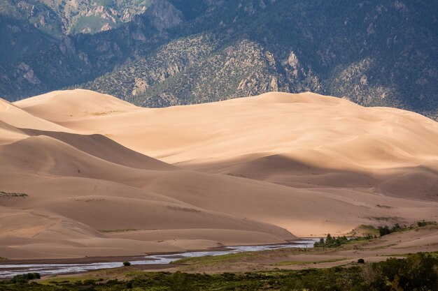 Particolare di Great Sand Dunes NP