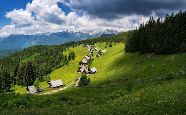 Pascoli Zajamniki nelle Alpi Giulie