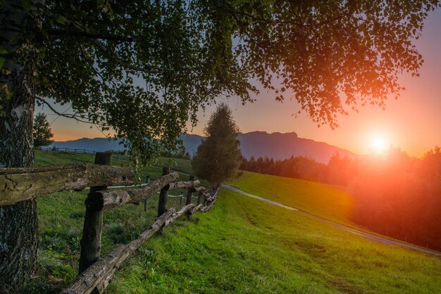 Pascolo con recinzione al tramonto