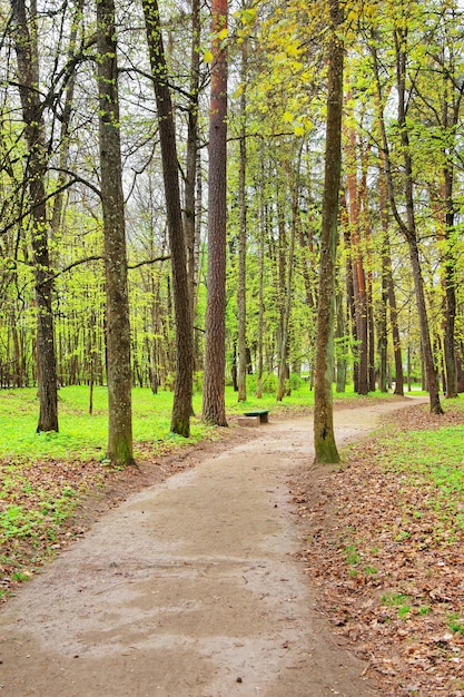 Passaggio pedonale al parco pubblico di Traku Voke a Vilnius, Lituania, paese baltico.