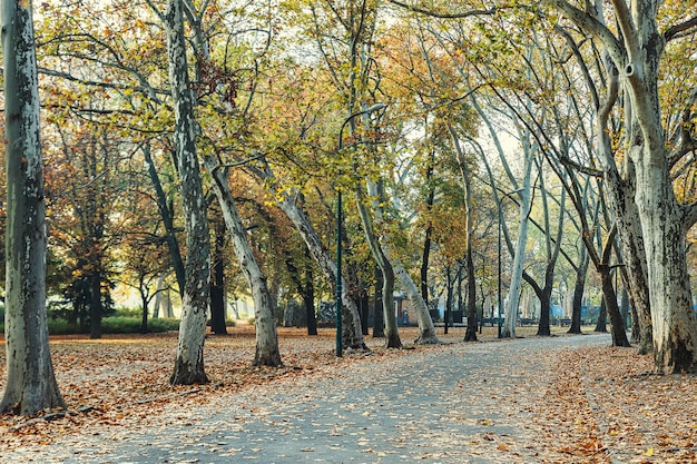 Passaggio pedonale in Central Park della città di Budapest nella stagione autunnale