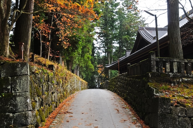 Passaggio romantico accanto a un vecchio tempio in autunno giapponese