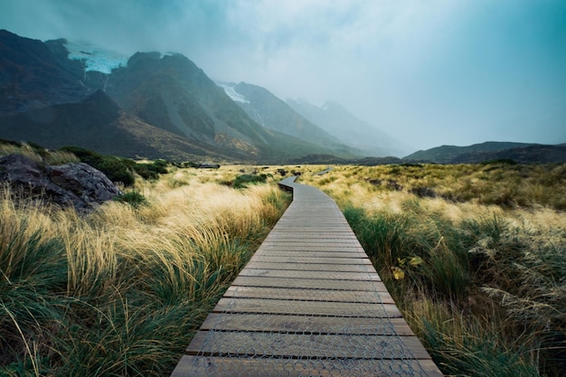 Passeggiata attraverso il campo che porta verso Mt Cook