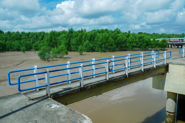 Passeggiata di mangrovie passeggiata sul lungomare del parco pubblico sul molo Il ponte blu al Tanjung Apiapi