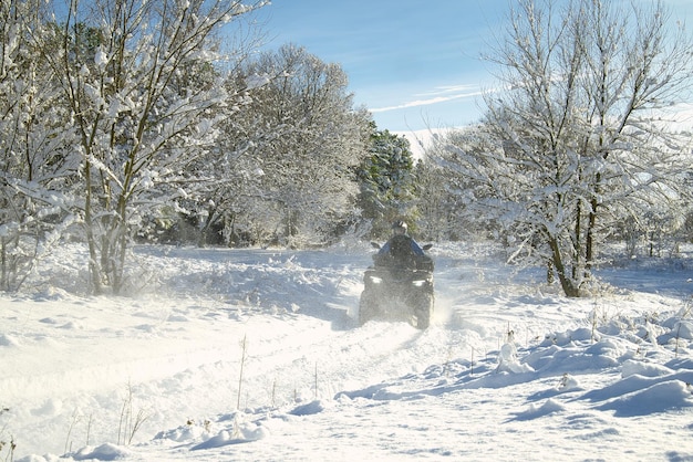 Passeggiata invernale attraverso il bosco innevato in quad