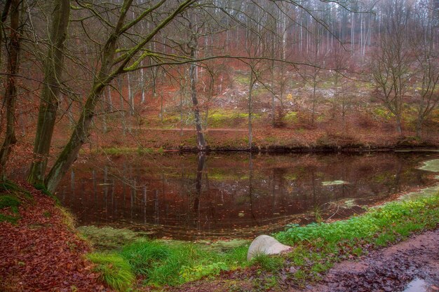 passeggiata nel parco autunnale con un lago