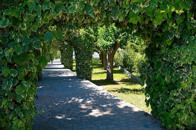 passeggiata nel parco pubblico