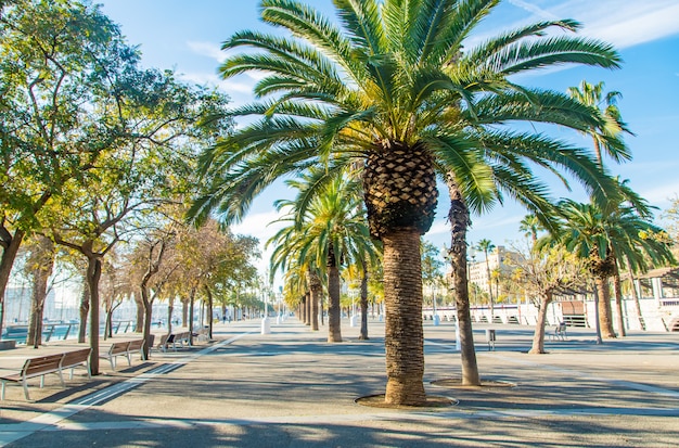 Passeggiata nella città di Barcellona. Messa a fuoco selettiva.