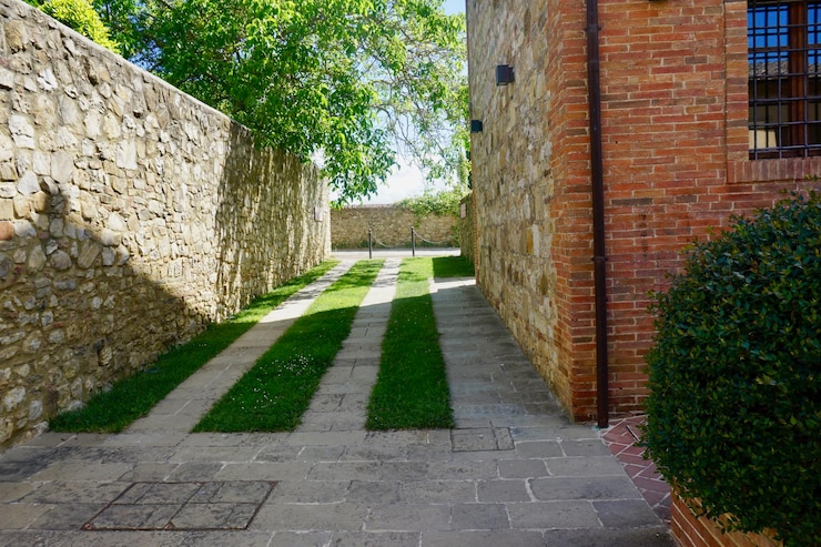 Foto passeggiata tra gli alberi in città