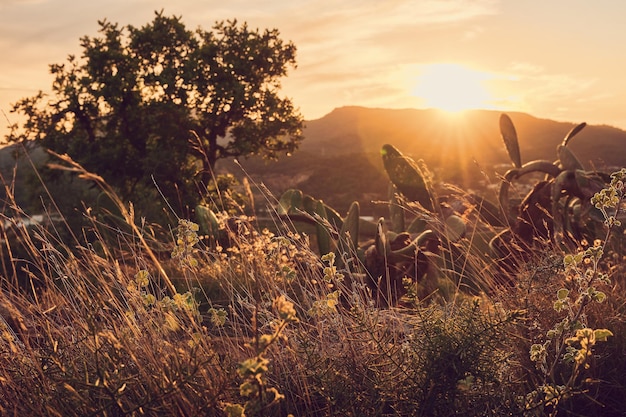 Passeggiata tra le montagne al tramonto