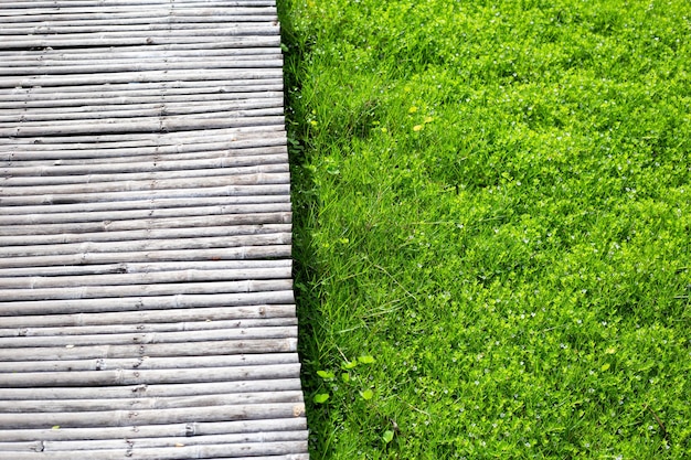 Passerella di bambù con erba fresca del prato Bellissimo giardino verde