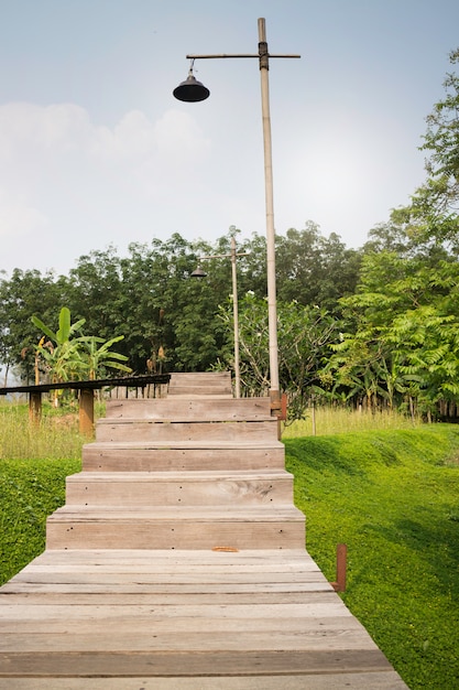 Passerella in legno al giardino tropicale