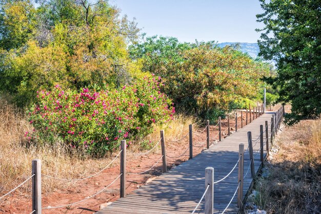 Passerella in legno e fiori sull'isola di Cleopatra Sedir Island Mar Egeo Marmaris Turchia