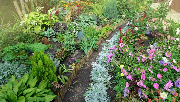 Passerella nel giardino autunnale Piante autunnali colorate in un bellissimo giardino Autunno bellissimi fiori