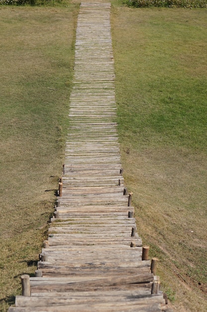 Passerella nel parco sull'erba verde