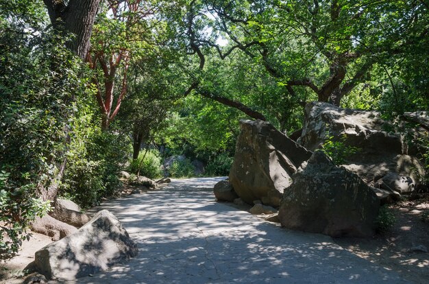 Passerella nel parco Vorontsov