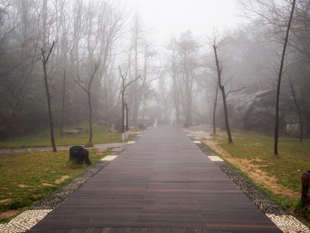 passerella nella fitta nebbia e poca luce