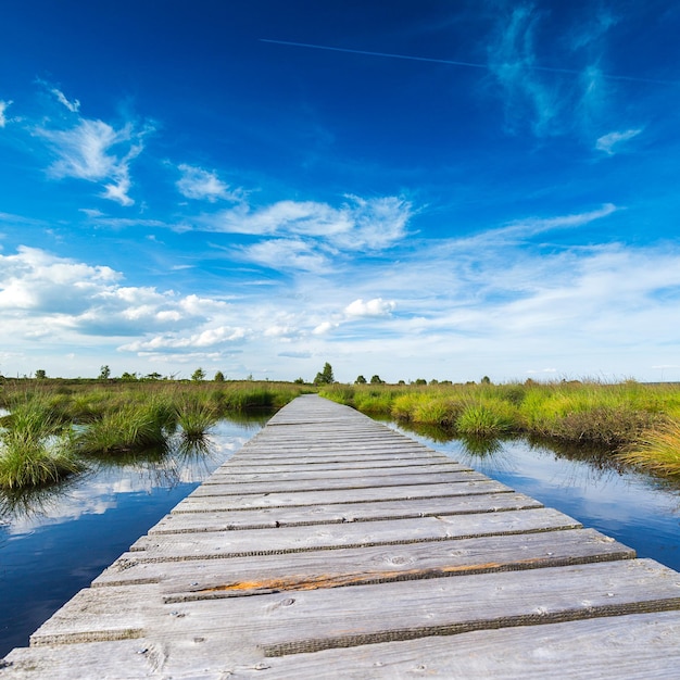 Passerella su un lago di palude con Blue Cloudy Sky