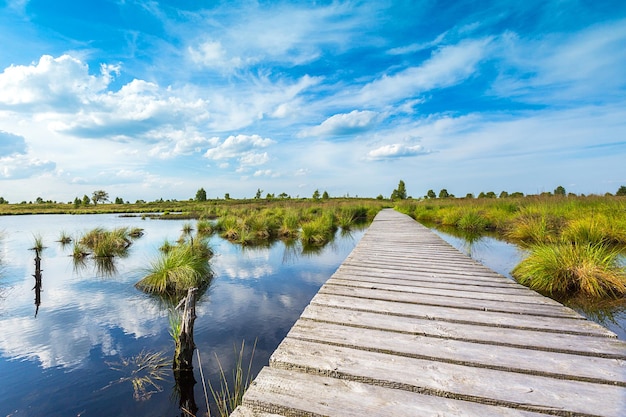 Passerella su un lago di palude con Blue Cloudy Sky