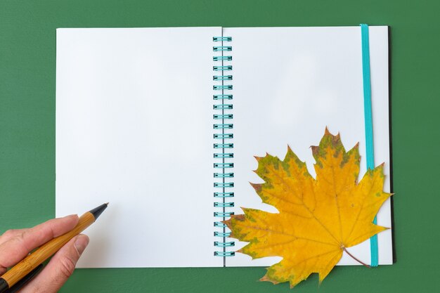 Passi la penna della tenuta sopra il taccuino in bianco aperto con la foglia di acero gialla su fondo verde. Concetto di affari. Ritorno al concetto di scuola