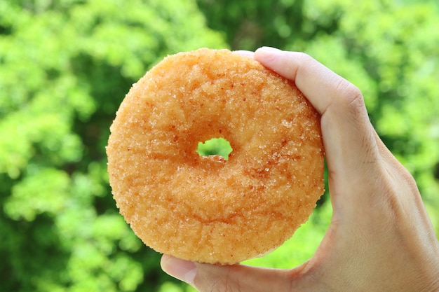 Passi la tenuta di Sugar Cinnamon Donut con fogliame verde confuso nel fondo