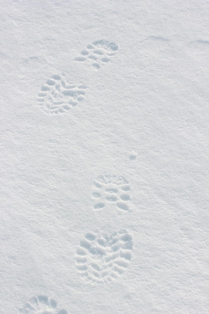 Passi su terreno innevato