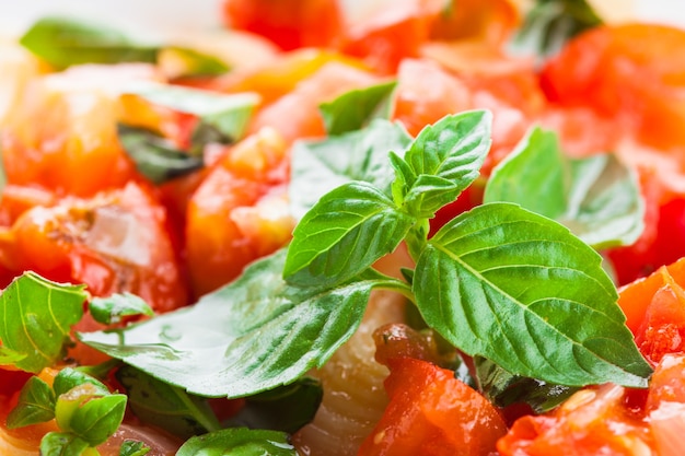 Pasta al sugo di pomodoro fresco e basilico, primo piano