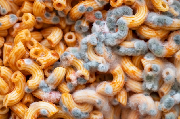 Pasta con muffa verde del primo piano della pasta rovinata della muffa