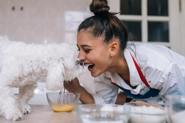 Pasto di fiuto del cane maltese bianco sveglio sul tavolo