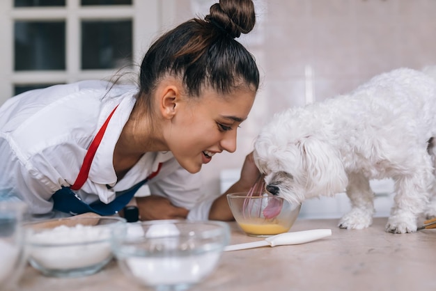 Pasto di fiuto del cane maltese bianco sveglio sul tavolo