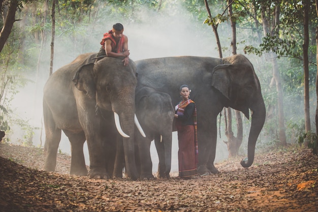 pastori tailandesi nella giungla con elefanti. Momenti storici di stile di vita dalla cultura thailandese