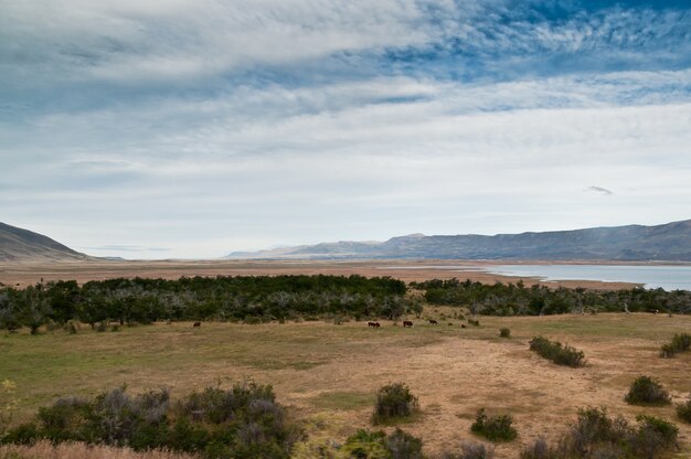 patagonia lanscapes argentina