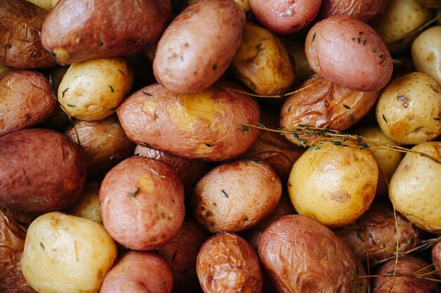 Patate al forno con timo in una trama Con pelle rossa e gialla Primo piano